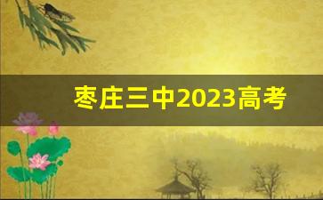 枣庄三中2023高考成绩喜报_寿光一中2023年高考成绩