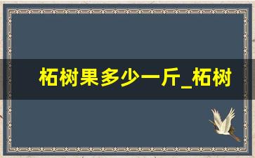 柘树果多少一斤_柘树根的功效与害处