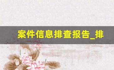 案件信息排查报告_排查报告