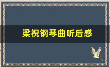 梁祝钢琴曲听后感