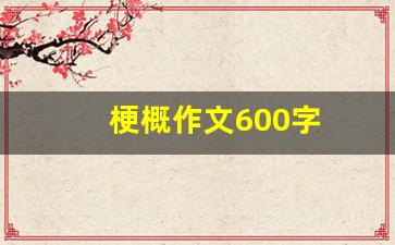 梗概作文600字