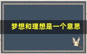 梦想和理想是一个意思吗