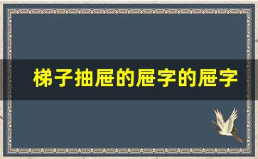 梯子抽屉的屉字的屉字怎么写