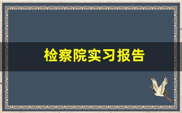 检察院实习报告