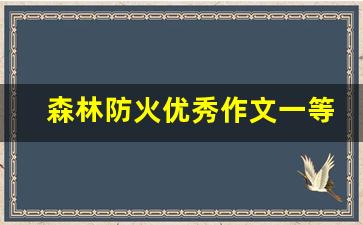 森林防火优秀作文一等奖