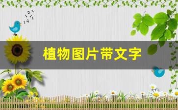 植物图片带文字