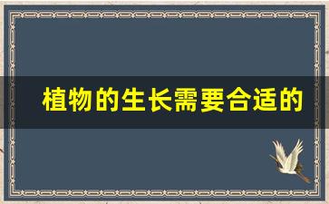 植物的生长需要合适的环境对吗