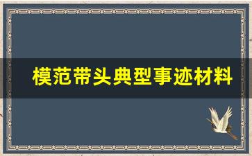 模范带头典型事迹材料