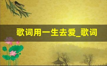 歌词用一生去爱_歌词有一生所爱这个词的有哪些歌