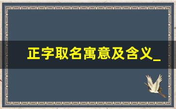 正字取名寓意及含义_正字男孩最佳组合名字