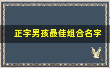 正字男孩最佳组合名字