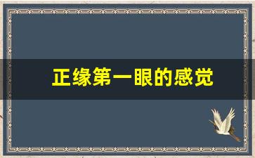 正缘第一眼的感觉