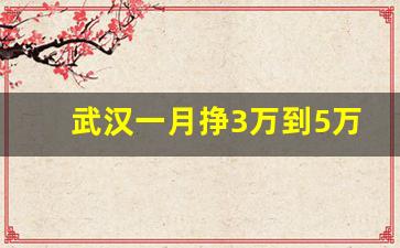 武汉一月挣3万到5万的工作_普通人去武汉干什么挣钱