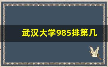 武汉大学985排第几位