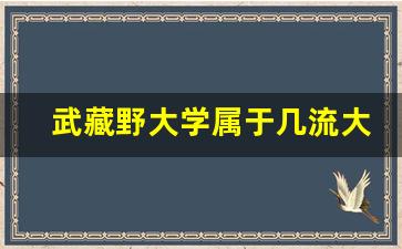 武藏野大学属于几流大学_日本最好的二十所大学