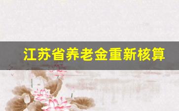 江苏省养老金重新核算了吗_江苏省45号文件关于养老退休