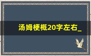 汤姆梗概20字左右_汤姆索亚的经历