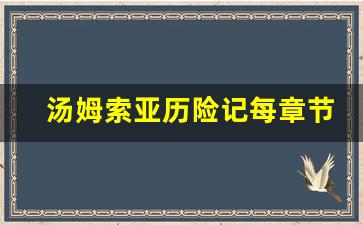 汤姆索亚历险记每章节概括