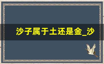 沙子属于土还是金_沙的五行属性