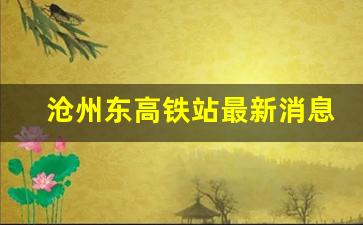 沧州东高铁站最新消息