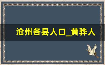 沧州各县人口_黄骅人口