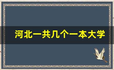 河北一共几个一本大学