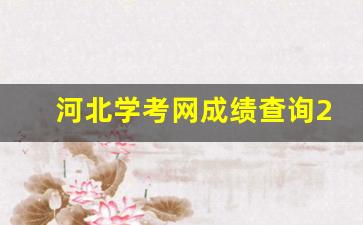 河北学考网成绩查询2019下半年_河北学考成绩查询入口2020