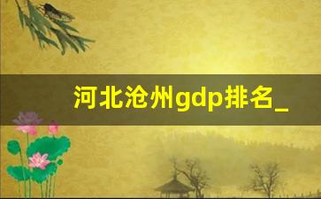 河北沧州gdp排名_沧州市的经济发展状况