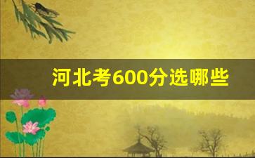 河北考600分选哪些大学