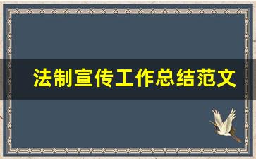 法制宣传工作总结范文