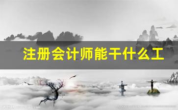 注册会计师能干什么工作_注会考过了能干什么