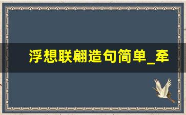 浮想联翩造句简单_牵肠挂肚造句