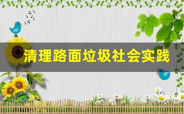 清理路面垃圾社会实践心得_校园社会实践清扫垃圾报告