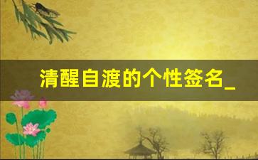 清醒自渡的个性签名_有深意的8个字签名