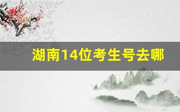 湖南14位考生号去哪里查询