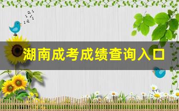 湖南成考成绩查询入口_往届高考成绩查询入口