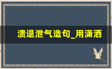 溃退泄气造句_用潇洒造句