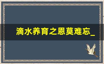 滴水养育之恩莫难忘_滴水之恩的意思