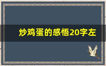 炒鸡蛋的感悟20字左右