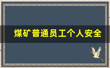 煤矿普通员工个人安全总结_煤矿探水队普通员工个人总结