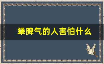 犟脾气的人害怕什么