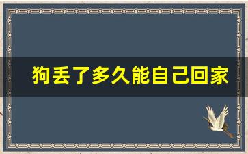 狗丢了多久能自己回家