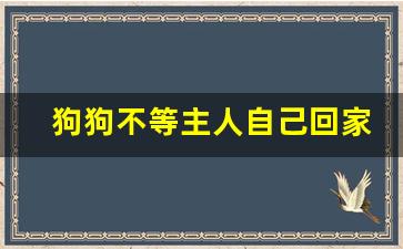 狗狗不等主人自己回家了