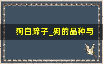 狗白蹄子_狗的品种与颜色的关系