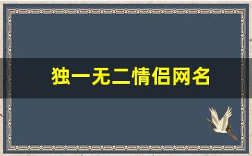 独一无二情侣网名