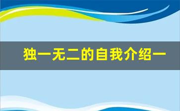 独一无二的自我介绍一下