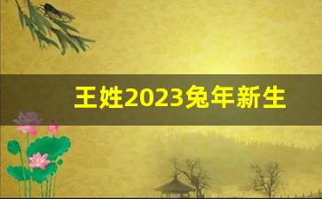 王姓2023兔年新生儿取名字怎么取