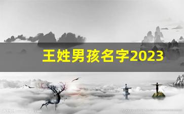 王姓男孩名字2023年属兔起名_王姓有涵养的名字兔