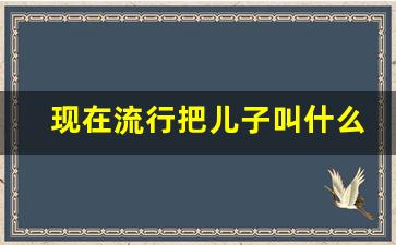 现在流行把儿子叫什么