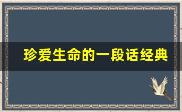 珍爱生命的一段话经典